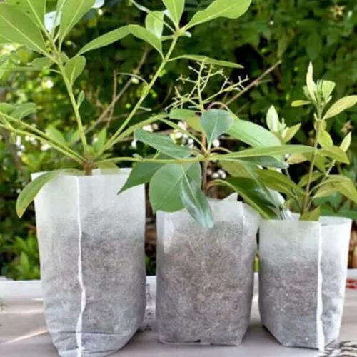 Worki Lookgrow na sadzonki