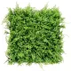 Dzika paproć plastikowa zielona ściana 50x50 cm