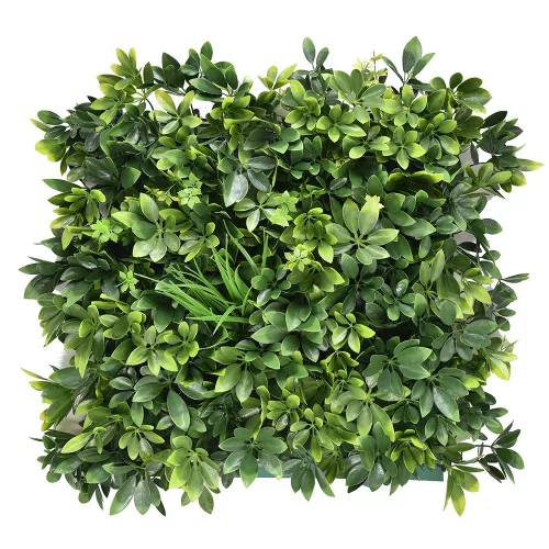 Aralia plastikowa zielona ściana 50x50 cm