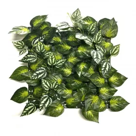 Aureus plastikowa zielona ściana 33x33 cm