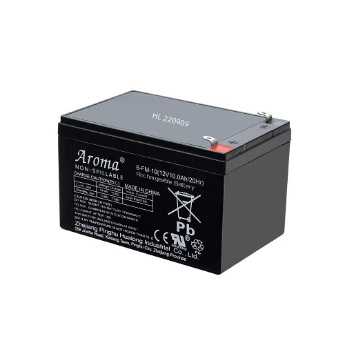 Akumulator do samochodu elektrycznego 10 AH