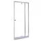 Regulowane drzwi prysznicowe Flexi 86-101x185 cm