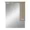 Lustrzana szafka ścienna Nerva 75 cm, Rauna sil